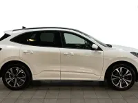 Used Ford Kuga ST-Line X 225 HP (165 kW) 2022 White SUV