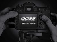 Used Lexus RX450h 313 HP (230 kW) 2022 Green SUV