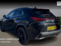 Used Lexus UX 250h 184 HP (135 kW) 2024 SUV