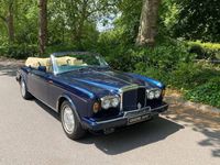 used Bentley Continental Continental