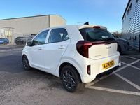 Used Kia Picanto 2024 White Hatchback