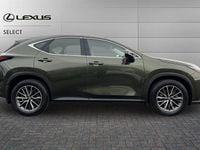 Used Lexus NX350h 242 HP (177 kW) 2022 Green SUV