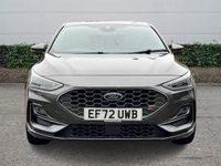 Used Ford Focus ST 280 HP (205 kW) 2024 Hatchback