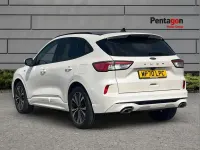 Used Ford Kuga ST-Line X 120 HP (88 kW) 2020 White SUV