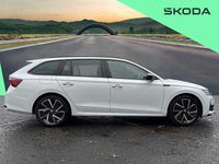 Used Skoda Octavia SportLine 110 HP (80 kW) 2025 Moon white metallic Estate