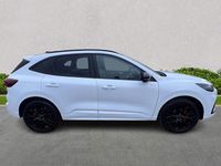Used Ford Kuga ST-Line X 2025 White SUV