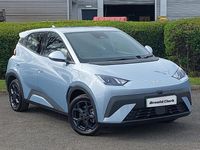 Używany BYD Dolphin Surf Boost 64 kW (88 KM) 2025 Niebieski Hatchback