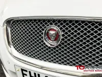 Used Jaguar XF Premium Luxury 240 HP (176 kW) 2014 White Sedan