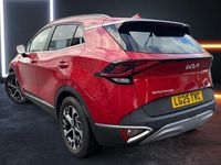 Used Kia Sportage 159 HP (116 kW) 2024 SUV