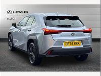 Used Lexus UX 300h 199 HP (146 kW) 2025 Silver SUV