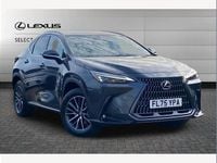 Used Lexus NX350h 243 HP (178 kW) 2025 Grey SUV