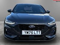 Used Ford Focus ST-Line X 125 HP (91 kW) 2024 Hatchback