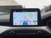 Used Ford Focus Zetec 100 HP (73 kW) 2019 White Hatchback