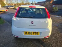 Used Fiat Punto Easy Plus 77 HP (56 kW) 2016 White Hatchback