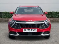 Used Kia Sportage 159 HP (116 kW) 2024 SUV
