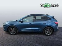 Used Ford Kuga ST-Line 187 HP (137 kW) 2024 Blue SUV