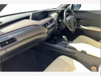 Used Lexus UX 300e 147 kW (200 HP) 2021 Silver SUV