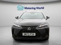 Used Lexus UX 250h Sport Design Packet 184 HP (135 kW) 2024 SUV
