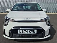 Used Kia Picanto 2024 White Hatchback