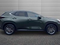 Used Lexus NX350h 243 HP (178 kW) 2025 Green SUV