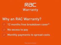 Used Ford Focus ST-Line 125 HP (91 kW) 2019 White Hatchback