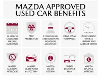 Used Mazda 6 90 HP (66 kW) 2023 Red Hatchback
