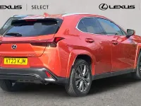 Used Lexus UX Sport Line 184 HP (135 kW) 2023 Blazing carnelian SUV