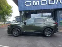 Used Lexus NX350h 242 HP (177 kW) 2024 Green SUV