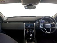 Used Land Rover Discovery Sport S 163 HP (119 kW) 2022 White SUV