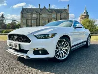 Usado Ford Mustang 317 CV (233 kW) 2016 Blanco Coupe