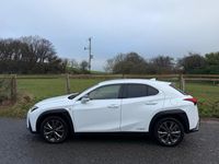 Used Lexus UX 250h Sport Line 2019 White SUV