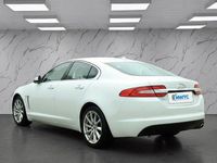 Used Jaguar XF Premium Luxury 200 HP (147 kW) 2014 White Sedan