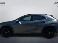 Used Lexus UX 184 HP (135 kW) 2024 SUV