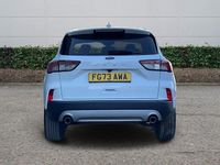 Used Ford Kuga Titanium 2023 White SUV