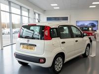 Used Fiat Panda Pop 69 HP (50 kW) 2012 White Hatchback