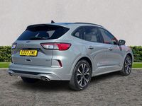 Used Ford Kuga ST-Line X 2023 Silver SUV
