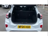 Used Ford Puma ST-Line X 125 HP (91 kW) 2024 White SUV