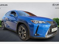 Used Lexus UX 250h 184 HP (135 kW) 2024 SUV