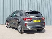 Used Ford Kuga ST-Line 150 HP (110 kW) 2025 Grey SUV