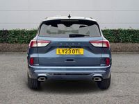 Used Ford Kuga ST-Line X 150 HP (110 kW) 2023 Blue SUV