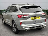 Used Ford Kuga ST-Line X 150 HP (110 kW) 2023 SUV