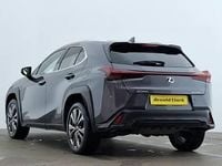 Used Lexus UX 250h Sport Design Packet 184 HP (135 kW) 2023 Grey SUV