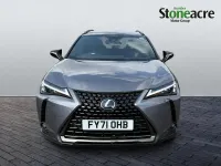 Used Lexus UX 250h 2021 Grey SUV