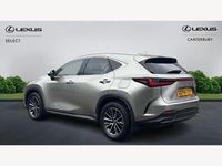 Used Lexus NX450h+ 2025 Silver SUV