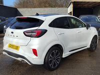 Used Ford Puma ST-Line 123 HP (90 kW) 2021 White Hatchback