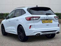 Used Ford Kuga ST-Line 2024 White SUV