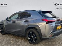 Used Lexus UX 250h 184 HP (135 kW) 2024 SUV