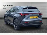 Used Lexus NX450h+ 292 HP (214 kW) 2026 Grey SUV