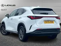 Used Lexus NX350h 197 HP (144 kW) 2026 White SUV