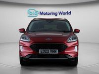 Used Ford Kuga Zetec 120 HP (88 kW) 2022 Red SUV